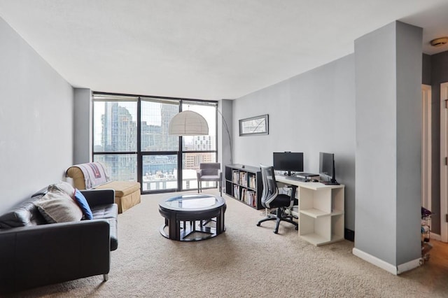 carpeted office with floor to ceiling windows and baseboards