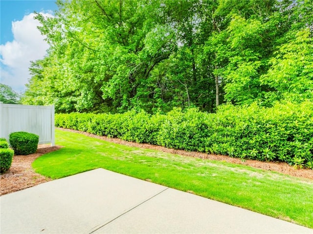 1555 Water Vista Ct Unit 4102, Cumming, GA 30041 - view of yard featuring a patio area