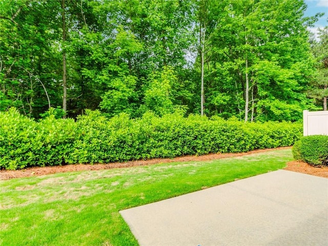 1555 Water Vista Ct Unit 4102, Cumming, GA 30041 - view of green lawn featuring a patio area