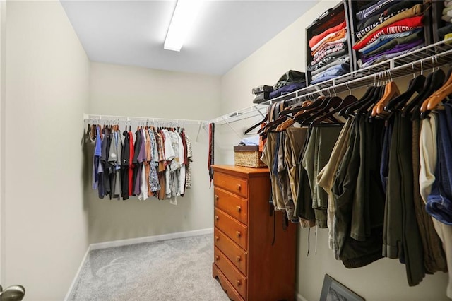 walk in closet with carpet flooring