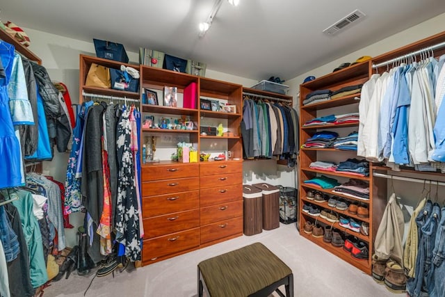 view of spacious closet