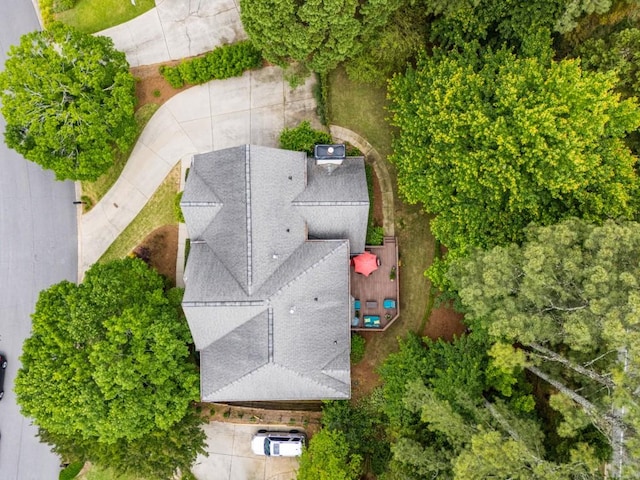 bird's eye view