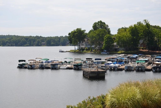 dock area featuring a water view