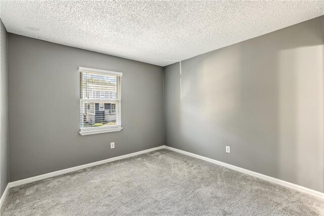 walk in closet with light colored carpet