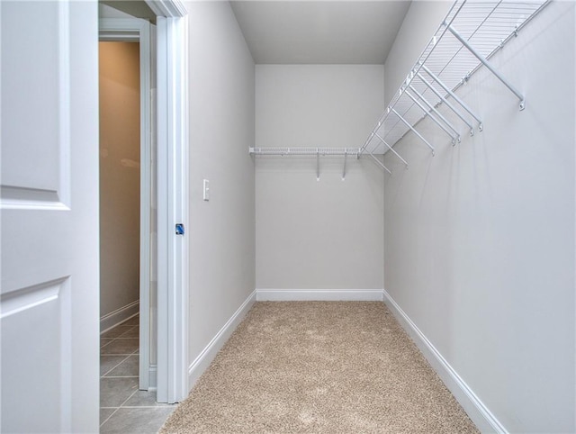111 Ginger Trl, Homer, GA 30547 - walk in closet with light colored carpet