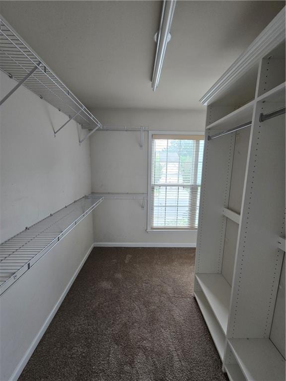 3613 Tinsley Way SW, Atlanta, GA 30331 - spacious closet with carpet flooring