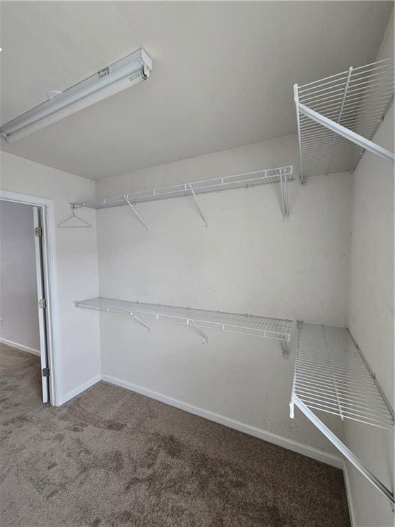 3613 Tinsley Way SW, Atlanta, GA 30331 - spacious closet featuring carpet flooring
