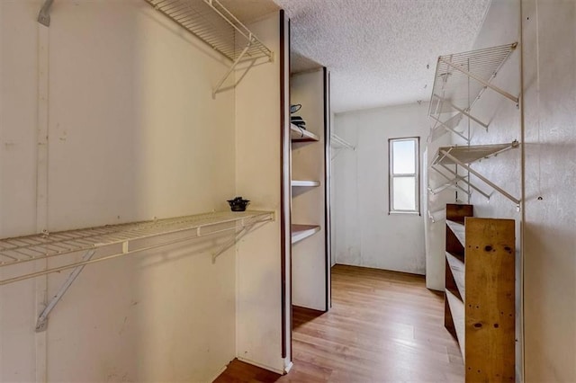 spacious closet featuring light hardwood / wood-style flooring