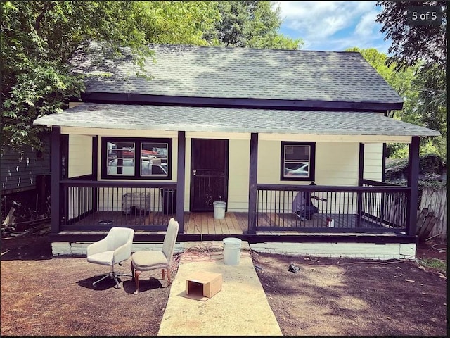 view of front of property featuring a porch and a shingled roof