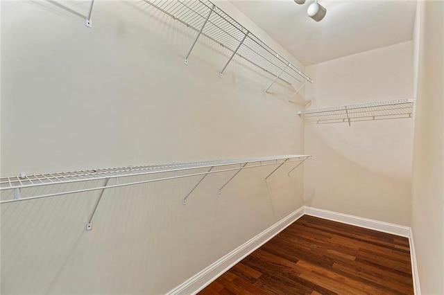 spacious closet with dark wood finished floors
