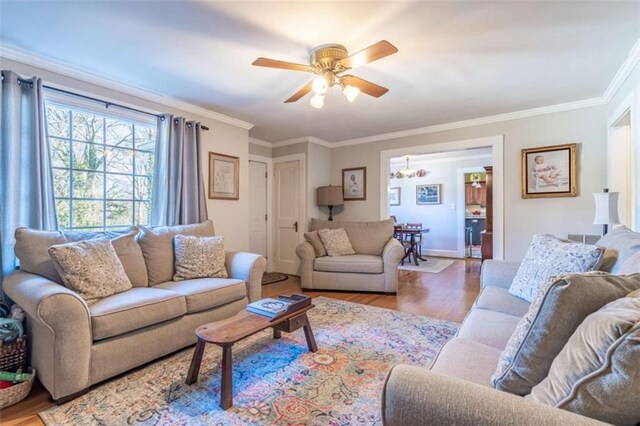 living room featuring ceiling fan with notable chandelier, light wood-type flooring, and ornamental molding