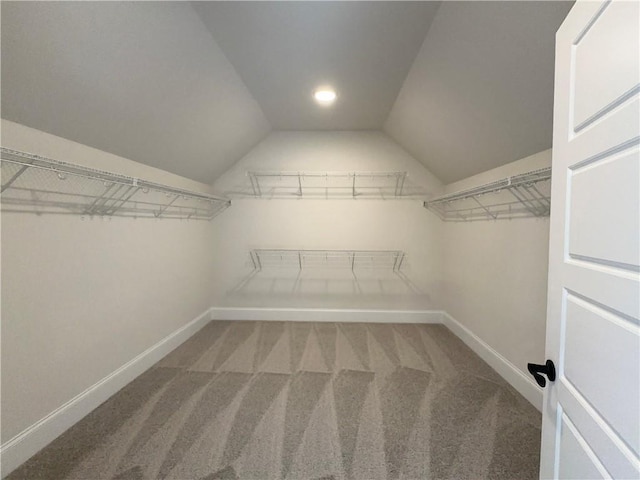 4020 Sierra Knolls Ct, Cumming, GA 30040 - spacious closet with carpet and vaulted ceiling