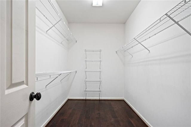 spacious closet with hardwood / wood-style flooring