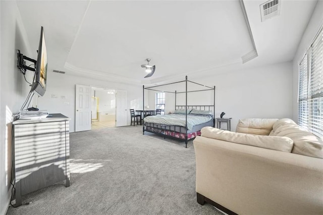 bedroom with carpet and a tray ceiling