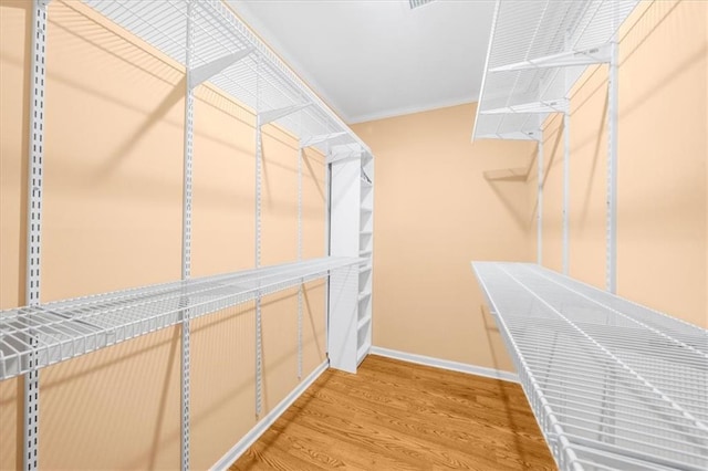 walk in closet featuring hardwood / wood-style floors