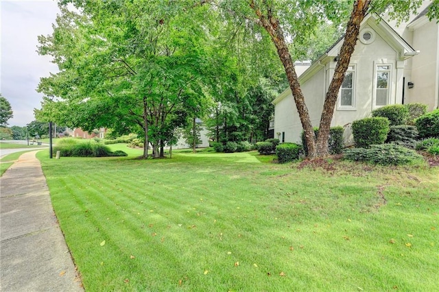 1595 Chadberry Way, Lawrenceville, GA 30043 - view of green lawn