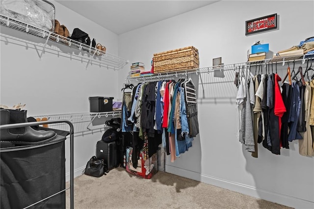 419 Highland Pointe Dr, Alto, GA 30510 - walk in closet with carpet