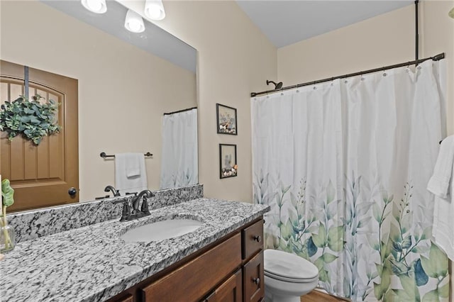 419 Highland Pointe Dr, Alto, GA 30510 - full bathroom with toilet, vanity, and a shower with curtain