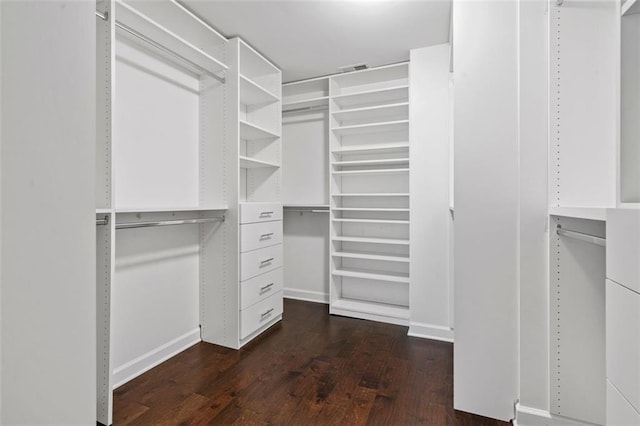 spacious closet featuring dark hardwood / wood-style flooring