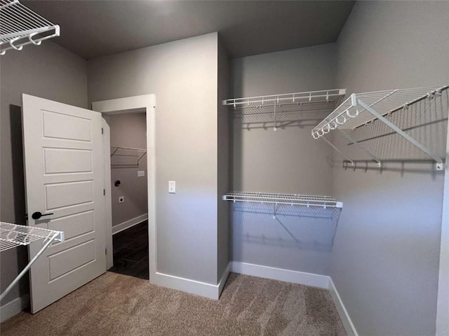 walk in closet featuring carpet