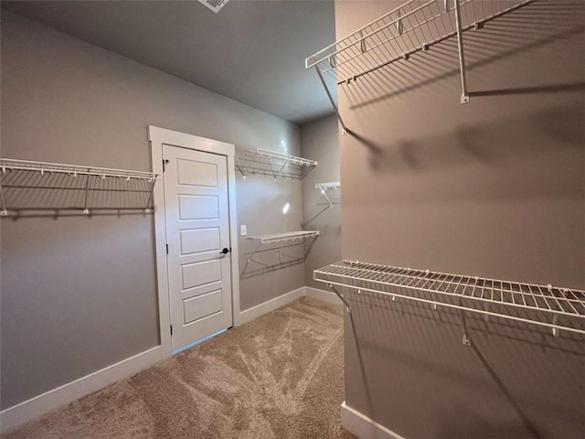 spacious closet featuring carpet