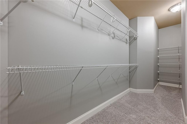 spacious closet featuring carpet