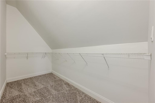 walk in closet featuring lofted ceiling and carpet floors