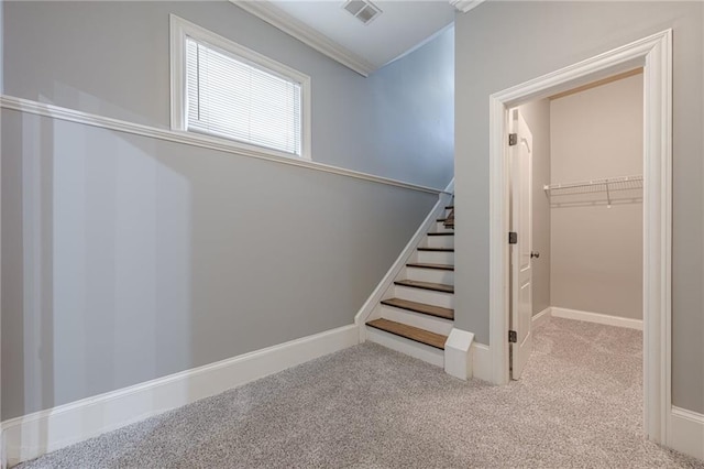 stairs with visible vents, carpet floors, baseboards, and ornamental molding