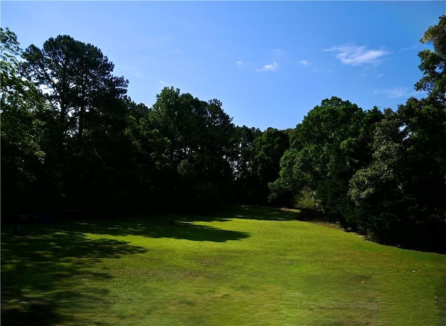 1621 Oak Rd, Snellville, GA 30078 - view of grassy yard with a forest view