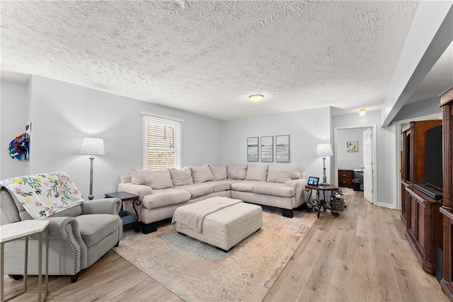 165 Grant Ford Dr, Dawsonville, GA 30534 - living room with light wood finished floors, a textured ceiling, and baseboards