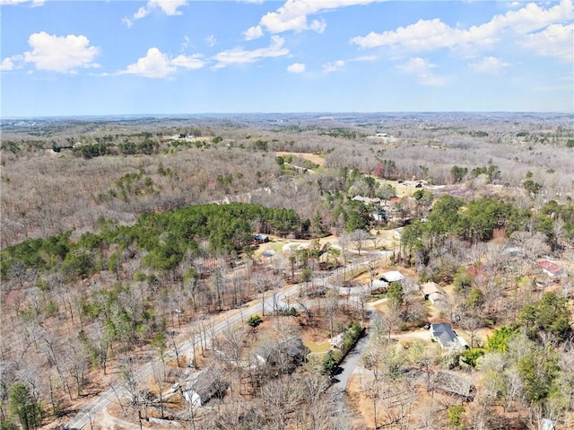 165 Grant Ford Dr, Dawsonville, GA 30534 - aerial view of property's location