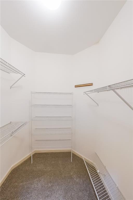 spacious closet featuring carpet