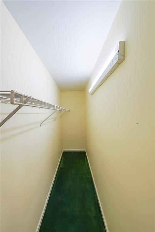 walk in closet featuring carpet