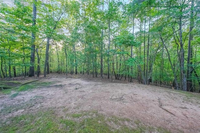 view of nature featuring a forest view