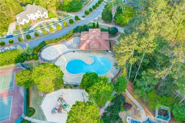 bird's eye view