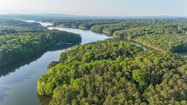 bird's eye view featuring a water view and a view of trees