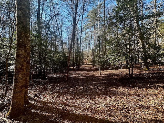 Listing photo 3 for 0 Mountain Creek Rd, Blue Ridge GA 30513