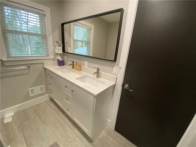 bathroom with hardwood / wood-style flooring and vanity