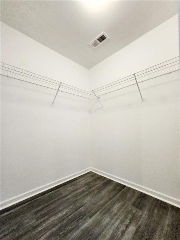 spacious closet with visible vents and dark wood-style floors