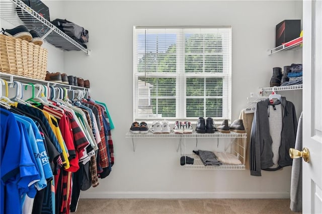 3698 Roseman Lndg, Cumming, GA 30040 - walk in closet with carpet floors
