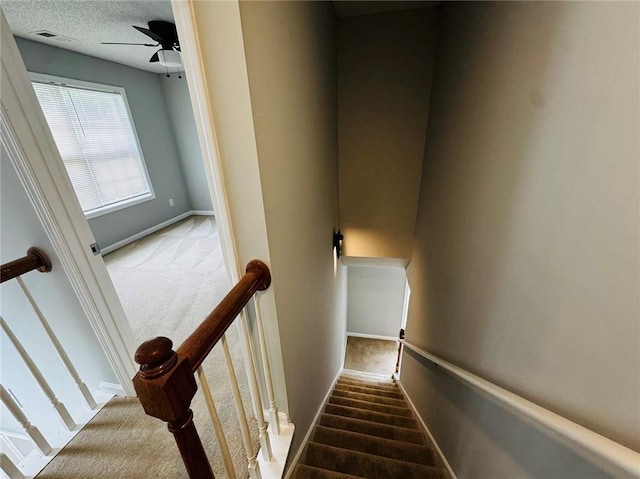 108 Northcutt Station Pl, Acworth, GA 30101 - stairs with carpet, a ceiling fan, baseboards, and a textured ceiling