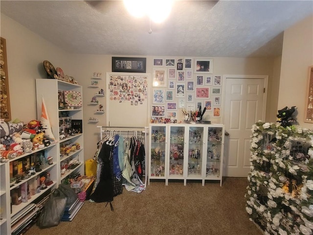 bedroom featuring carpet flooring and a textured ceiling