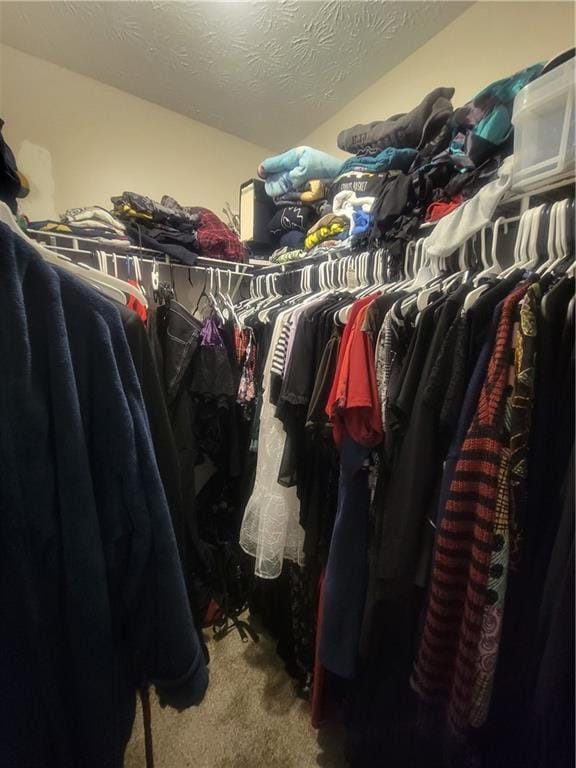 spacious closet with carpet flooring