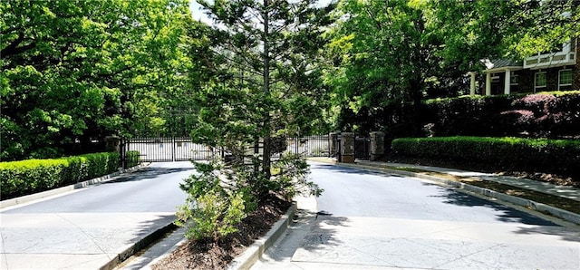 view of street featuring a gated entry, a gate, and curbs