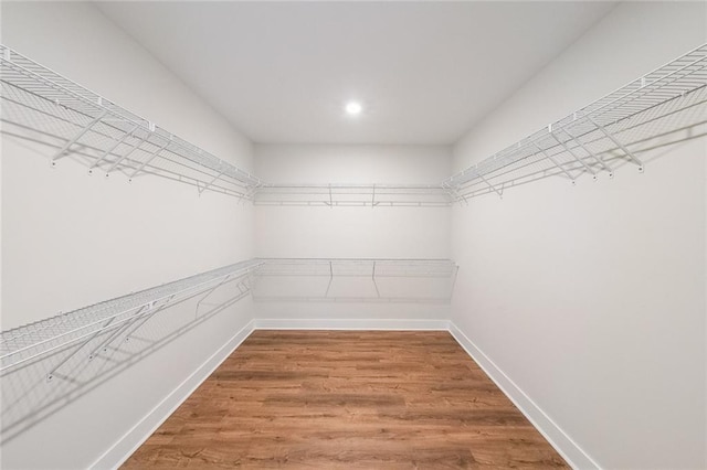 walk in closet featuring wood finished floors