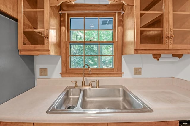 4856 Rock Haven Dr, Lilburn, GA 30047 - kitchen featuring a sink, light countertops, and glass insert cabinets