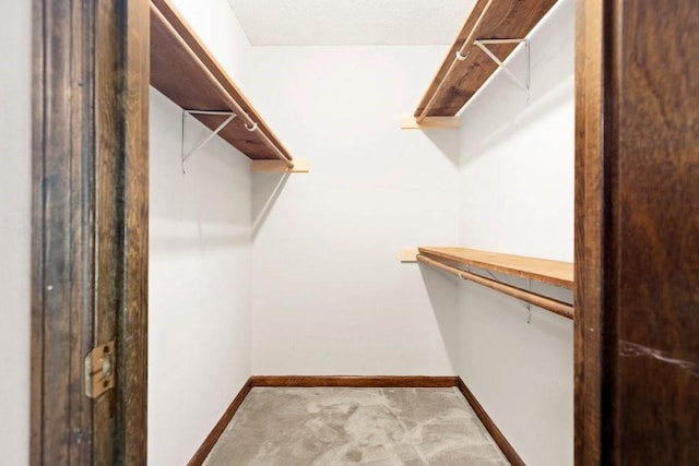 walk in closet with light colored carpet