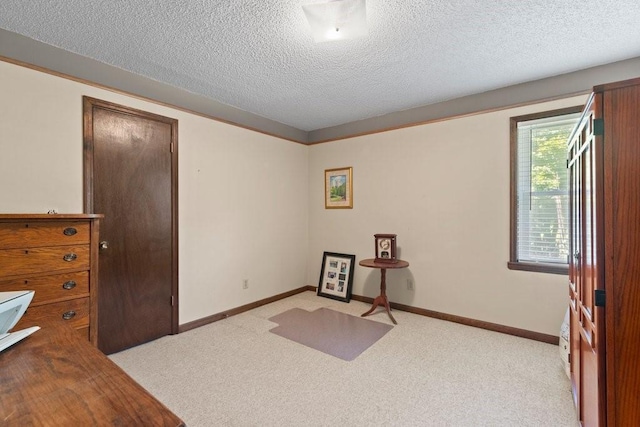 interior space featuring light carpet and a textured ceiling