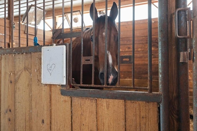 view of stable