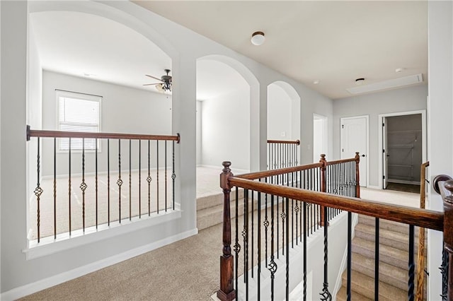 hallway with light carpet